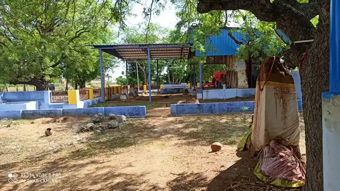 Arulmigu Petchiamman Temple, Serakulam - 628802 அருள்மிகு பேச்சியம்மன் மற்றும் சுடலை மாடசுவாமி திருக்கோயில், Serakulam - 628802, Thoothukudi - Ancient Temple Architecture and History Image 4