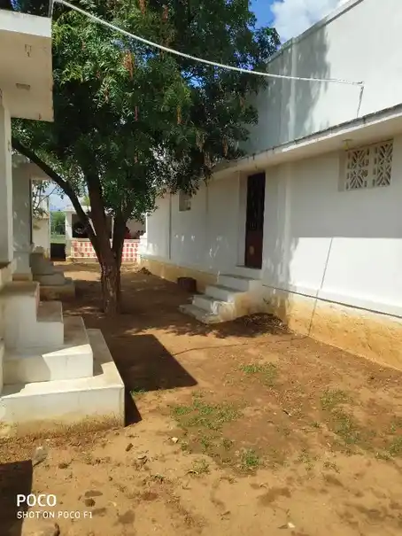 Arulmigu Petchiamman Temple, Thenmalai - 642622 அருள்மிகு பேச்சியம்மன் திருக்கோயில், Thenmalai - 642622, Tenkasi - Ancient Temple Architecture and History Image 6