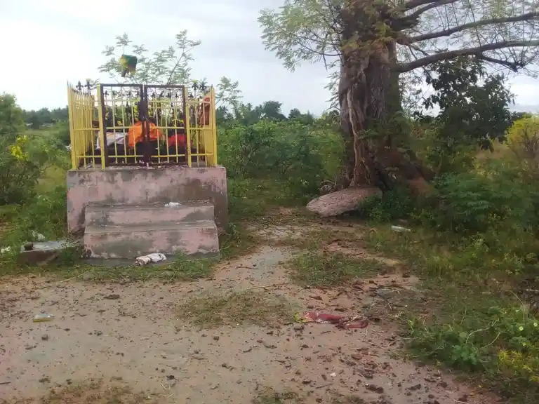 Arulmigu Pethakkudi Ayyanar Temple, Vellakkudi - 622002