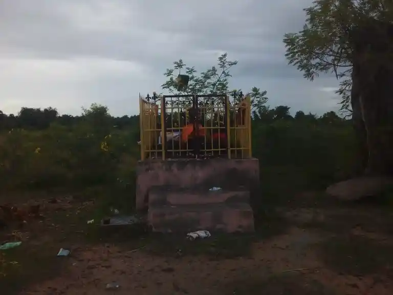 Arulmigu Pethakkudi Ayyanar Temple, Vellakkudi - 622002 அருள்மிகு பெத்தக்குடி அய்யனார் திருக்கோயில், Vellakkudi - 622002, Pudukkottai - Ancient Temple Architecture and History Image 2