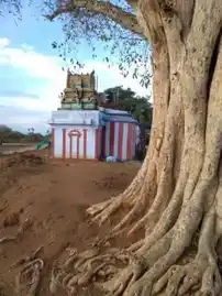 Arulmigu Pethanachi Amman Temple, -, Sivalarkulam - 627853