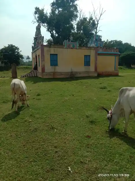Arulmigu Pethanadaraajar Malaikovil, Madur - 624306 அருள்மிகு பெத்த நடராசர் மலைக்கோயில்-மடூர், திண்டுக்கல் கோயில், Madur - 624306, Dindigul - Ancient Temple Architecture and History Image 2
