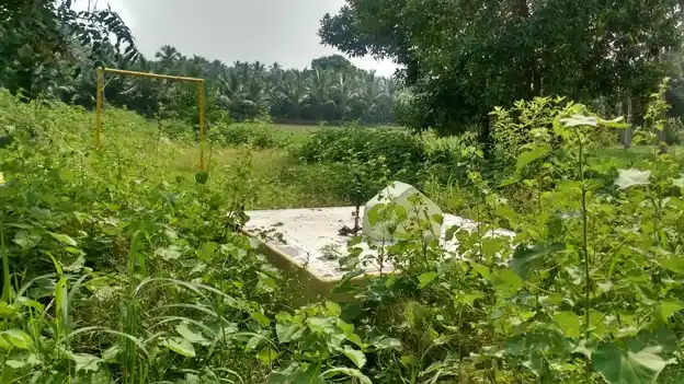 Arulmigu Pethanaswamy Temple, Karupatti - 625205 அருள்மிகு பெத்தணசாமி திருக்கோயில், Karupatti - 625205, Madurai - Ancient Temple Architecture and History Image 2