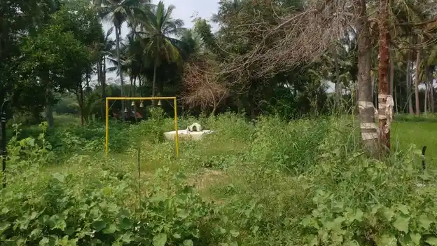 Arulmigu Pethanaswamy Temple, Karupatti - 625205 அருள்மிகு பெத்தணசாமி திருக்கோயில், Karupatti - 625205, Madurai - Ancient Temple Architecture and History Image 4