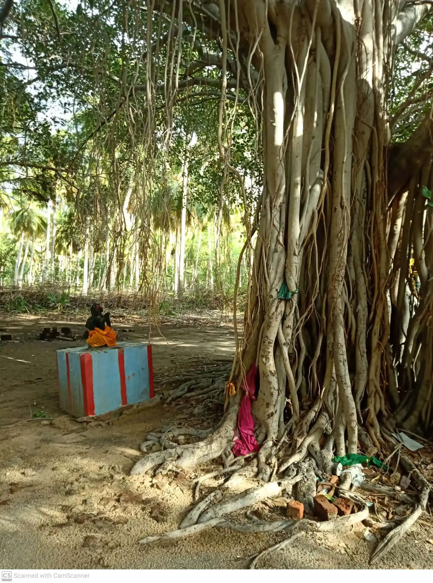 Arulmigu Pethanatchi amman Temple, Idaiyarkadu - 628802