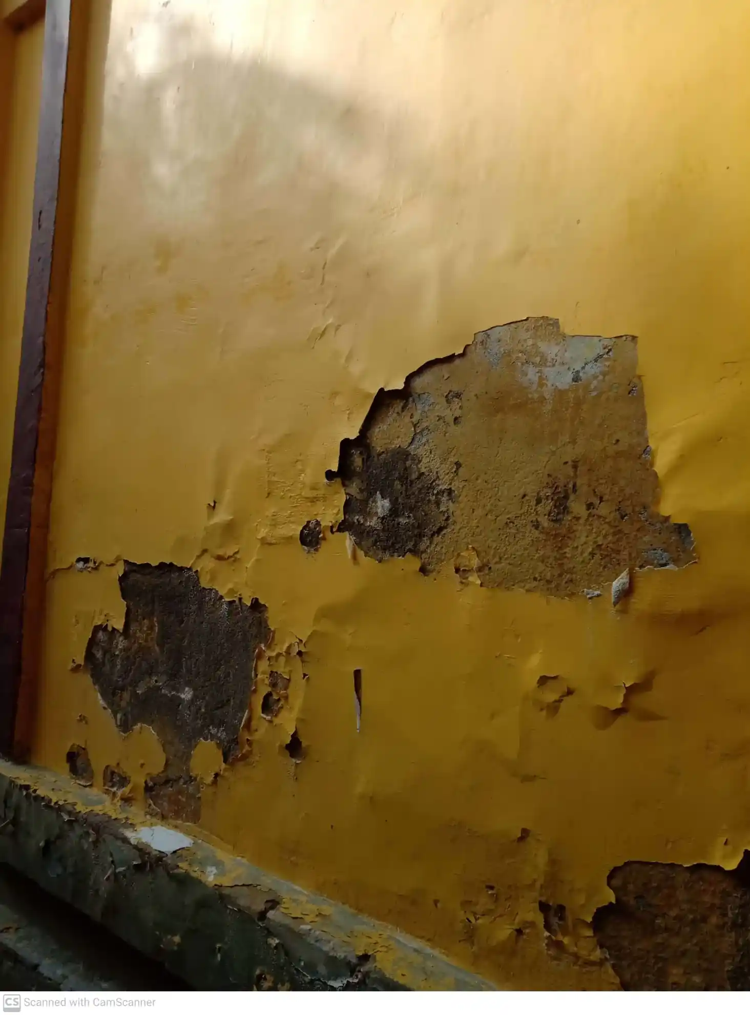 Arulmigu Pethanatchi amman Temple, Idaiyarkadu - 628802 அருள்மிகு பெத்தநாச்சி அம்மன் பெருமாள் திருக்கோயில், Idaiyarkadu - 628802, Thoothukudi - Ancient Temple Architecture and History Image 3