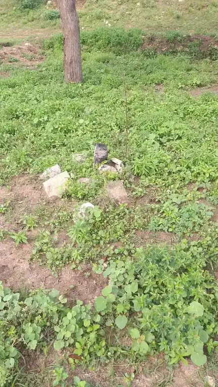 Arulmigu Pethankulamayyanar Temple, Kovilankulam - 625514