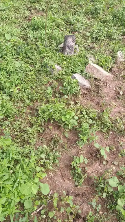 Arulmigu Pethankulamayyanar Temple, Kovilankulam - 625514 அருள்மிகு பெத்தாங்குளம் அய்யனார் திருக்கோயில், Kovilankulam - 625514, Madurai - Ancient Temple Architecture and History Image 3