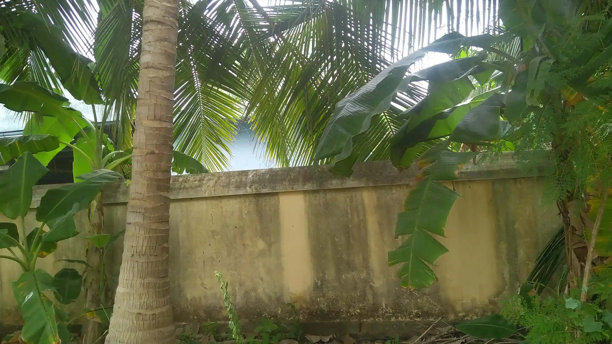 Arulmigu Petharanaswarar Swamy Temple, Deepangudi - 612603 அருள்மிகு பெத்தாரன்யேஸ்வரர் திருக்கோயில், Deepangudi - 612603, Thiruvarur - Ancient Temple Architecture and History Image 4