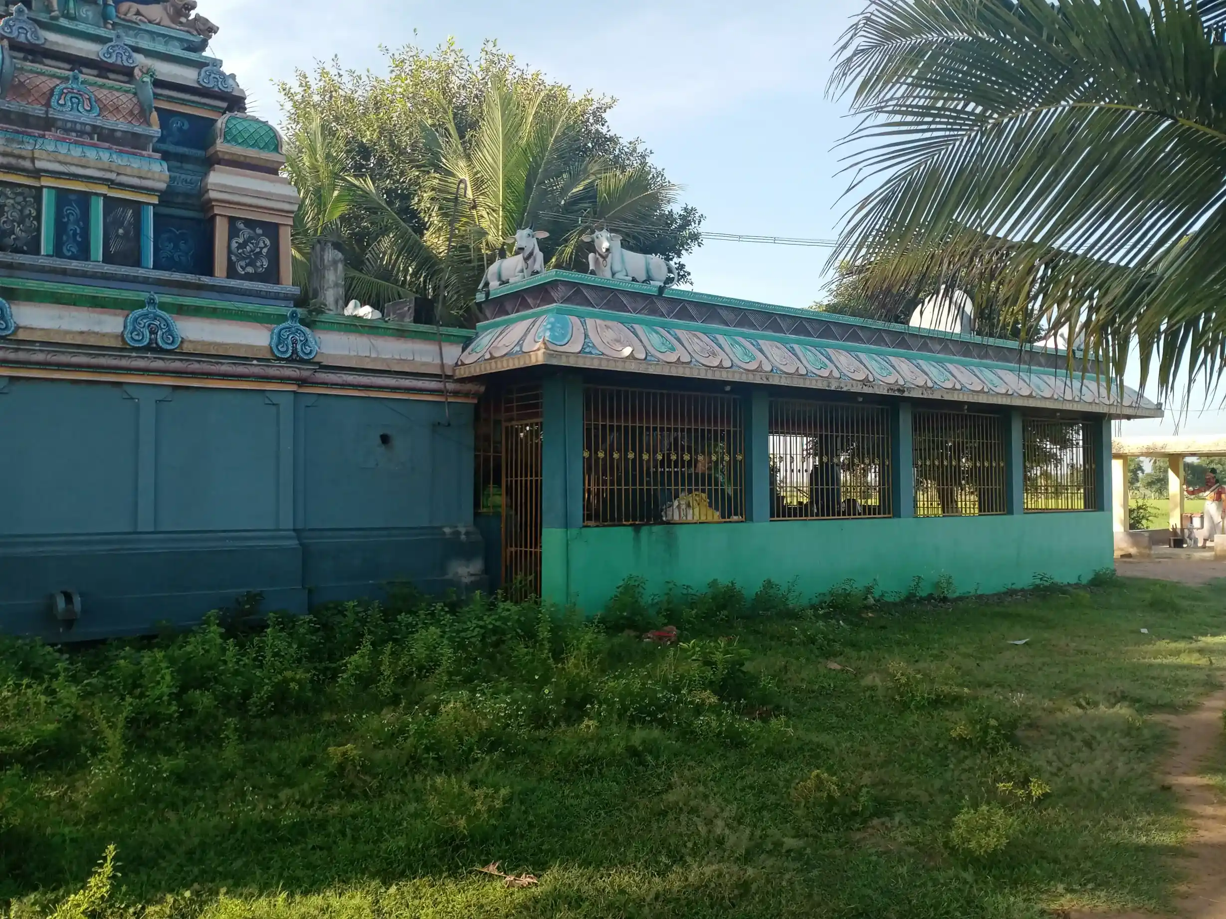 Arulmigu Petthaperumal Temple, Karakottai - 614018