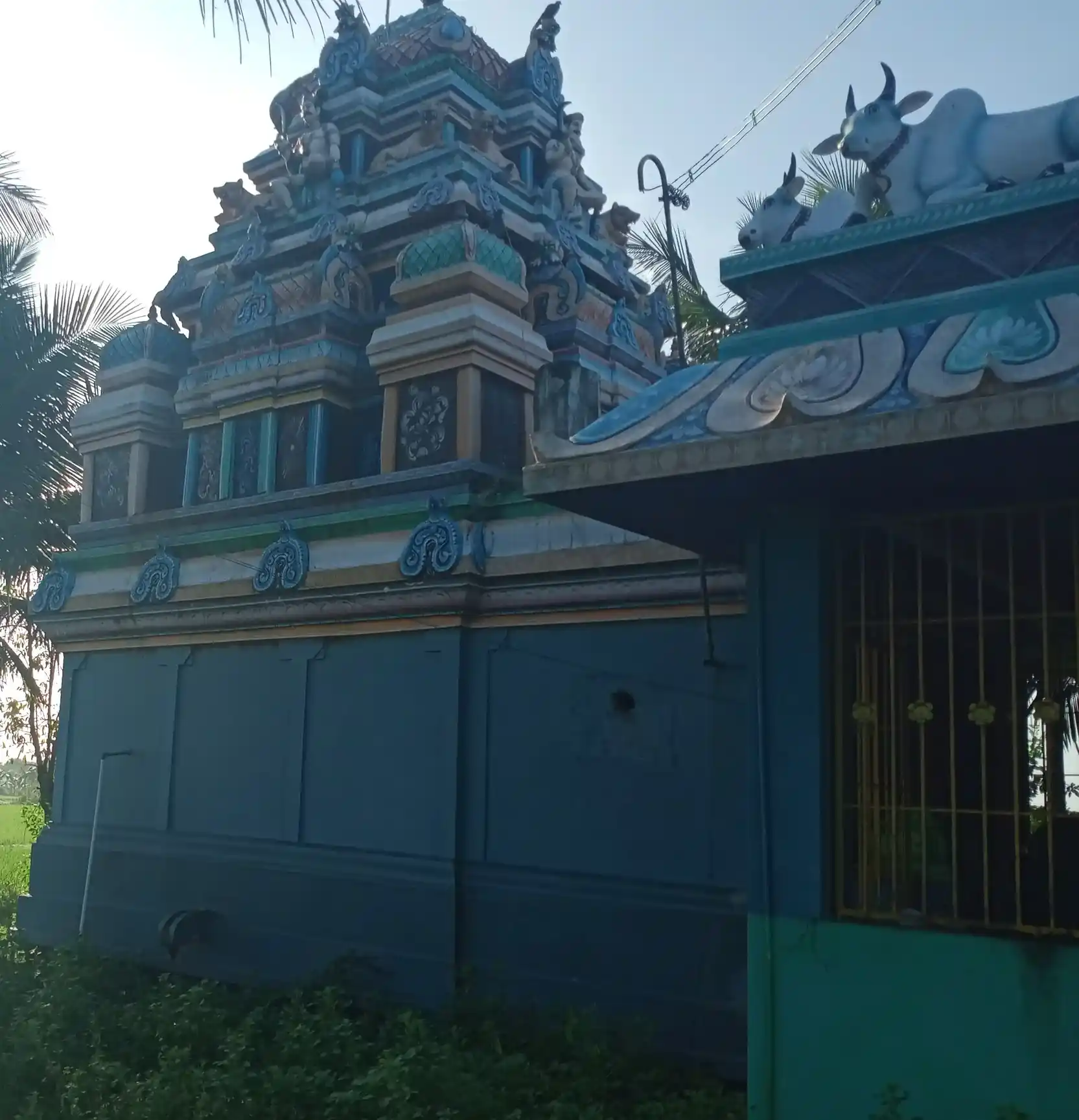 Arulmigu Petthaperumal Temple, Karakottai - 614018 அருள்மிகு பெத்தப்பெருமாள் திருக்கோயில், Karakottai - 614018, Thiruvarur - Ancient Temple Architecture and History Image 7