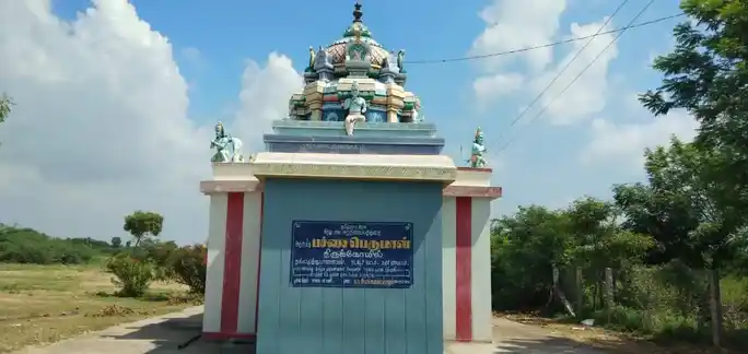 Arulmigu Pichaiperumal Temple, Nallamuthupalayam - 621313 அருள்மிகு பிச்சைபெருமாள் திருக்கோயில், Nallamuthupalayam - 621313, Karur - Ancient Temple Architecture and History Image 2