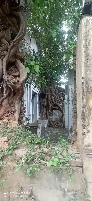 Arulmigu Pichandavar Temple, Govindapuram - 612101 அருள்மிகு பிச்சாண்டவர் திருக்கோயில், கோவிந்தபுரம் - 612101, Thanjavur - Ancient Temple Architecture and History Image 6