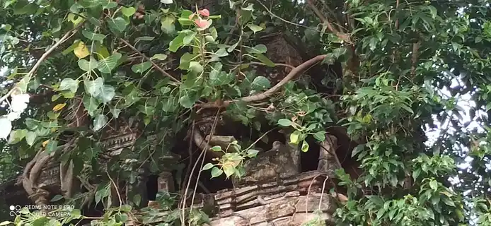 Arulmigu Pichandavar Temple, Govindapuram - 612101 அருள்மிகு பிச்சாண்டவர் திருக்கோயில், கோவிந்தபுரம் - 612101, Thanjavur - Ancient Temple Architecture and History Image 7