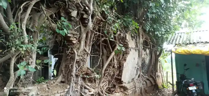 Arulmigu Pichandavar Temple, Govindapuram - 612101 அருள்மிகு பிச்சாண்டவர் திருக்கோயில், கோவிந்தபுரம் - 612101, Thanjavur - Ancient Temple Architecture and History Image 10