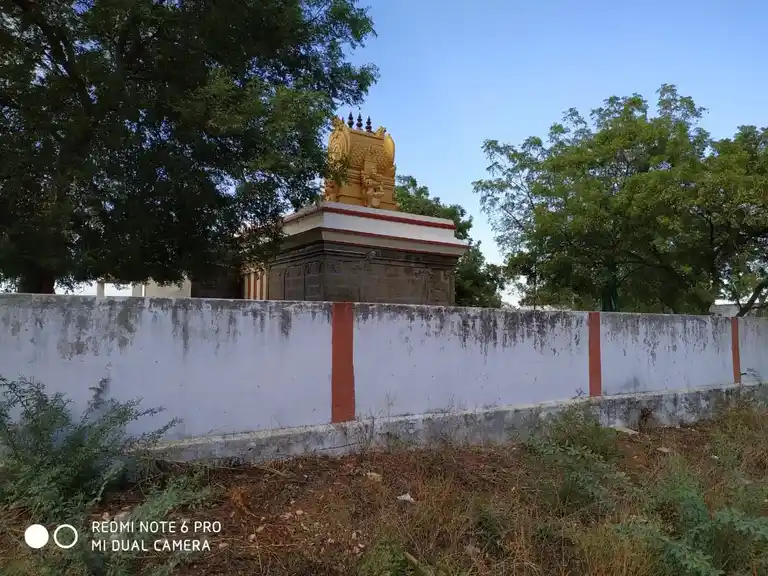 Arulmigu Pidaari Amman Temple, Ponnakudi, Ponnakudi - 627151 அருள்மிகு பிடாரி அம்மன் திருக்கோயில், பொன்னாக்குடி, பொன்னாக்குடி - 627151, Tirunelveli - Ancient Temple Architecture and History Image 3