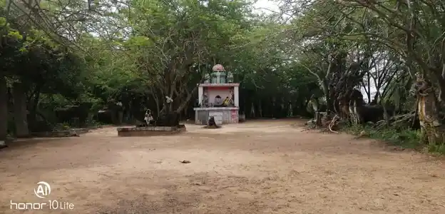 Arulmigu Pidaari Temple, Kanniyappatti - 622103 அருள்மிகு பிடாரி திருக்கோயில், Kanniyappatti - 622103, Pudukkottai - Ancient Temple Architecture and History Image 5