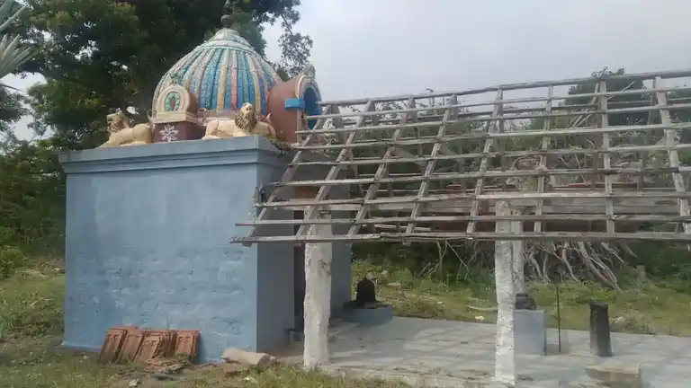 Arulmigu Pidaari Temple, Pallipaati - 621316 அருள்மிகு பிடாரி திருக்கோயில், Pallipaati - 621316, Pudukkottai - Ancient Temple Architecture and History Image 2