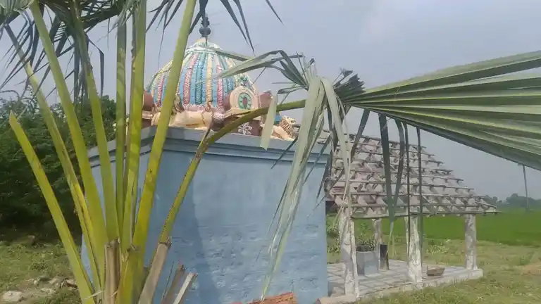 Arulmigu Pidaari Temple, Pallipaati - 621316 அருள்மிகு பிடாரி திருக்கோயில், Pallipaati - 621316, Pudukkottai - Ancient Temple Architecture and History Image 4