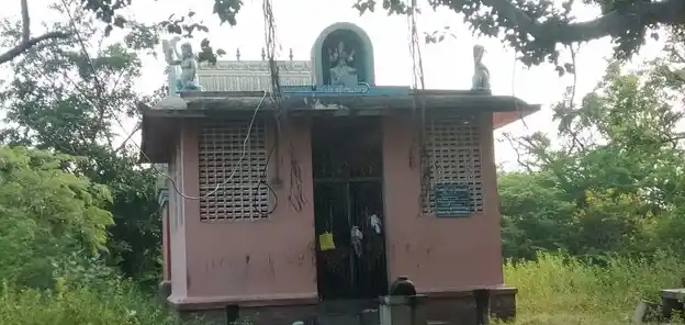 Arulmigu Pidaari Temple, Vellaalappatti - 622504 Temple