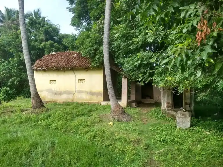 Arulmigu Pidaari Temple, Visalur - 610105 அருள்மிகு பிடாரி திருக்கோயில், Visalur, Visalur - 610105, Thiruvarur - Ancient Temple Architecture and History Image 5