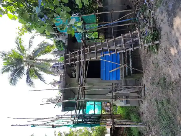 Arulmigu Pidaarimariyamman Temple, Puthur - 609108 அ/மி.பிடாரியம்மன் திருக்கோயில், Sirkazhi - 609108, Mayiladuthurai - Ancient Temple Architecture and History Image 2