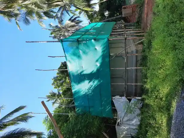 Arulmigu Pidaarimariyamman Temple, Puthur - 609108 அ/மி.பிடாரியம்மன் திருக்கோயில், Sirkazhi - 609108, Mayiladuthurai - Ancient Temple Architecture and History Image 3