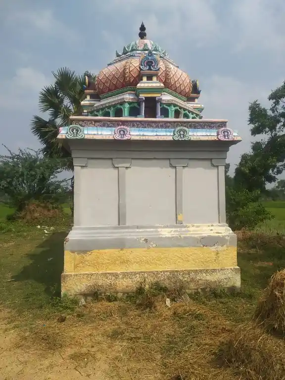Arulmigu Pidaarimariyamman Temple, Thillaividangan - 609109 Temple