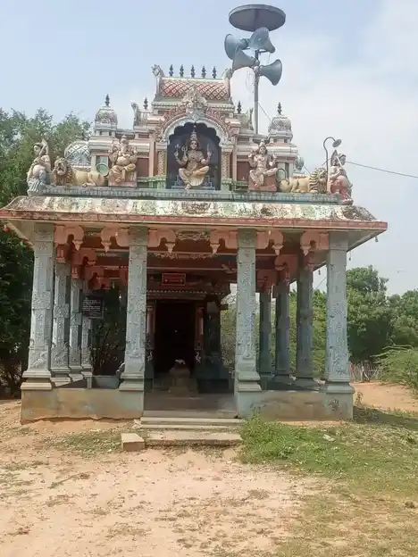 Arulmigu Pidaariyamman Temple, Aaladikkaadu - 622202 அருள்மிகு பிடாரியம்மன் திருக்கோயில், Aaladikkaadu - 622202, Pudukkottai - Ancient Temple Architecture and History Image 4
