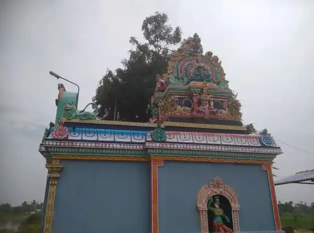 Arulmigu Pidaariyamman Temple, Kathavampatti - 622303 அருள்மிகு பிடாரியம்மன் திருக்கோயில், Kathavampatti - 622303, Pudukkottai - Ancient Temple Architecture and History Image 4