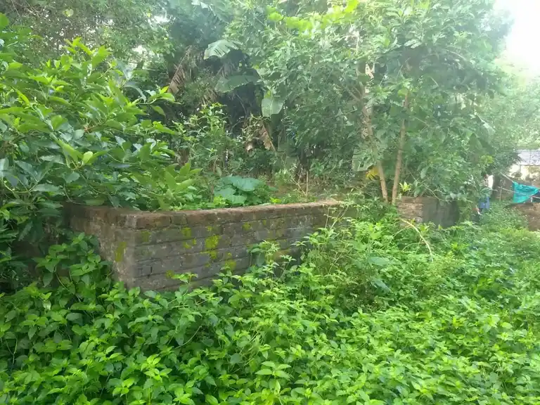 Arulmigu Pidaariyamman Temple, Manalagaram - 610107 அருள்மிகு பிடாரியம்மன் திருக்கோயில், Manalagaram - 610107, Thiruvarur - Ancient Temple Architecture and History Image 2