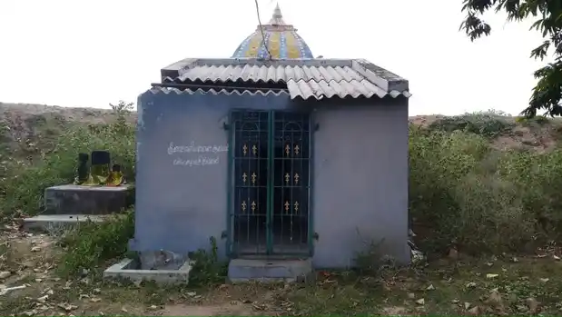 Arulmigu Pidaariyamman Temple, Poothakkudi - 621316 அருள்மிகு பிடாரியம்மன் திருக்கோயில், பூதக்குடி - 621316, Pudukkottai - Ancient Temple Architecture and History Image 2