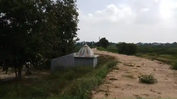 Arulmigu Pidaariyamman Temple, Poothakkudi - 621316 அருள்மிகு பிடாரியம்மன் திருக்கோயில், பூதக்குடி - 621316, Pudukkottai - Ancient Temple Architecture and History Image 4