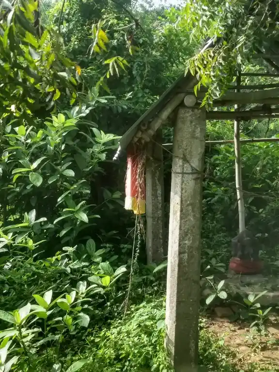 Arulmigu Pidaariyamman Temple, Senganur - 610107 அருள்மிகு பிடாரியம்மன் திருக்கோயில், Senganur - 610107, Thiruvarur - Ancient Temple Architecture and History Image 2