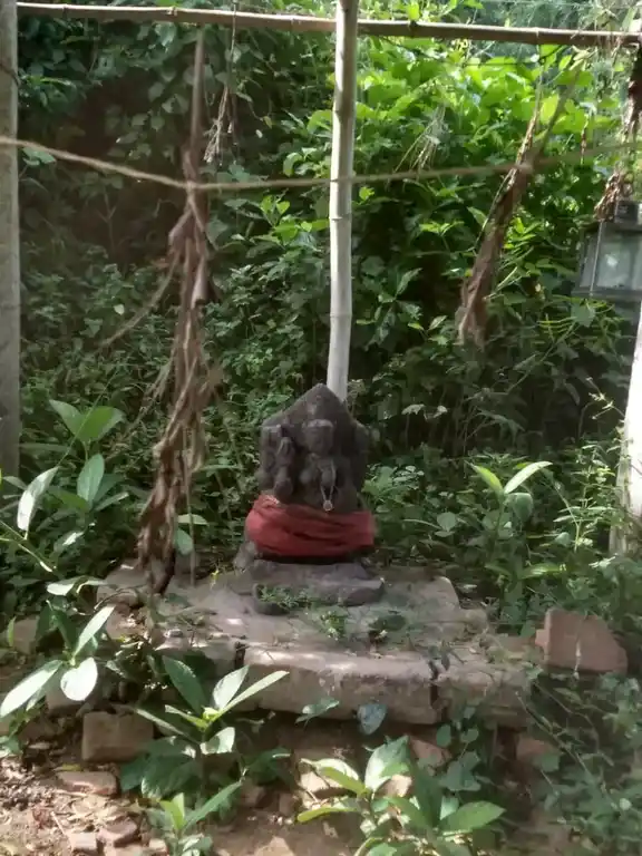 Arulmigu Pidaariyamman Temple, Senganur - 610107 அருள்மிகு பிடாரியம்மன் திருக்கோயில், Senganur - 610107, Thiruvarur - Ancient Temple Architecture and History Image 4