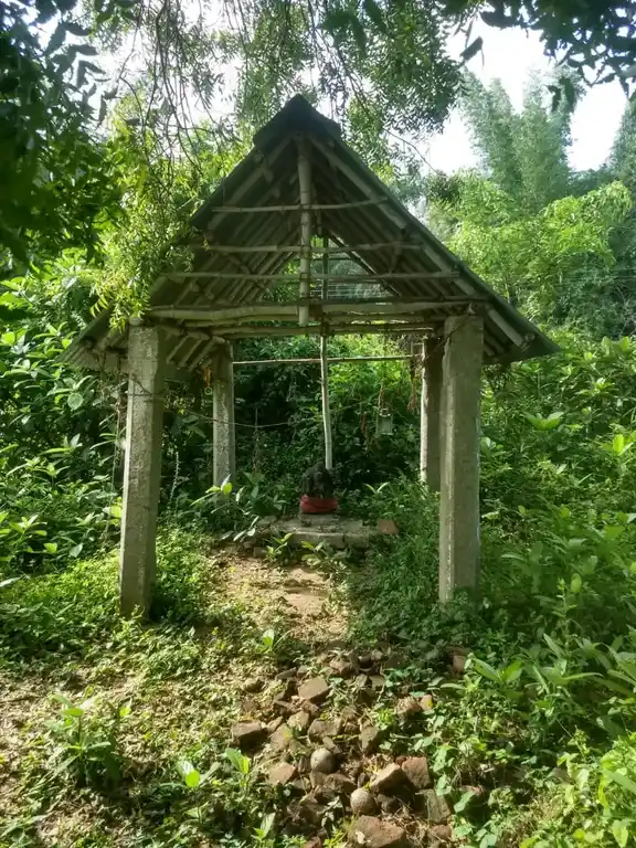 Arulmigu Pidaariyamman Temple, Senganur - 610107 அருள்மிகு பிடாரியம்மன் திருக்கோயில், Senganur - 610107, Thiruvarur - Ancient Temple Architecture and History Image 5