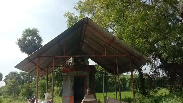Arulmigu Pidaariyamman Temple, Thennanchar - 610105 அருள்மிகு பிடாரியம்மன் திருக்கோயில், Thennanchar - 610105, Thiruvarur - Ancient Temple Architecture and History Image 3