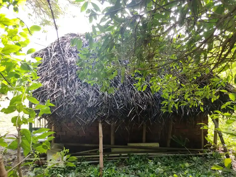 Arulmigu Pidaariyamman Temple, Thoothugudi - 609504 அருள்மிகு பிடாரியம்மன் கோயில், Thoothugudi - 609504, Thiruvarur - Ancient Temple Architecture and History Image 2