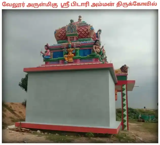 Arulmigu Pidaariyamman Temple, Vellur - 621316 அருள்மிகு பிடாரியம்மன் திருக்கோயில், வேலூர் - 621316, Pudukkottai - Ancient Temple Architecture and History Image 3