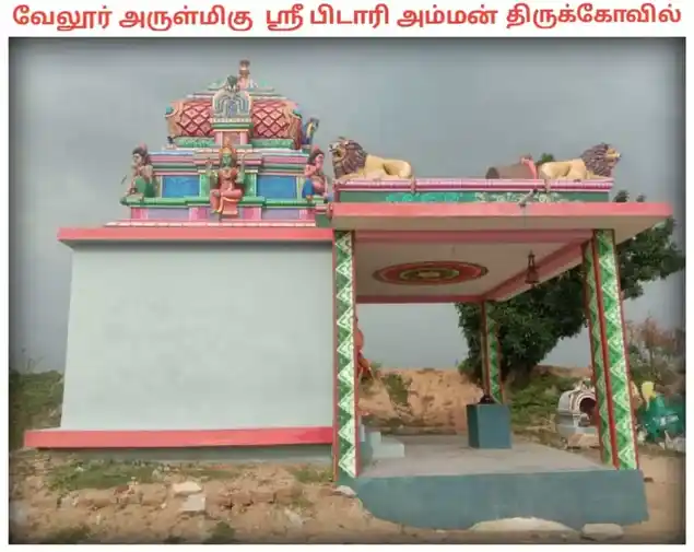 Arulmigu Pidaariyamman Temple, Vellur - 621316 அருள்மிகு பிடாரியம்மன் திருக்கோயில், வேலூர் - 621316, Pudukkottai - Ancient Temple Architecture and History Image 4