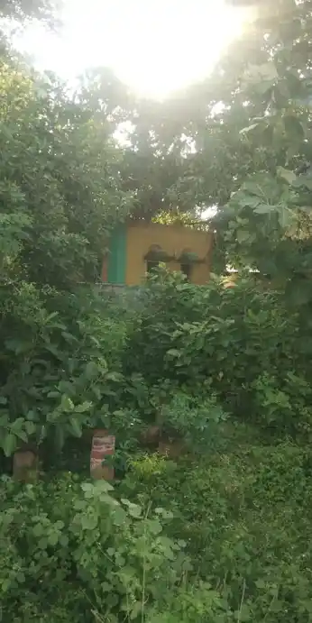 Arulmigu Pidari Ammachiamman Temple, Palur - 621704