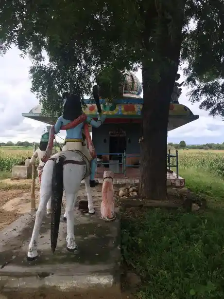 Arulmigu Pidari Amman Temple, Alundhalaipoor - 621713 Temple