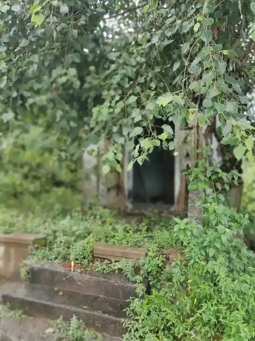 Arulmigu Pidari Amman Temple, Chitharkadu - 603302 அருள்மிகு பிடாரியம்மன் திருக்கோயில், Chitharkadu - 603302, Chengalpattu - Ancient Temple Architecture and History Image 4