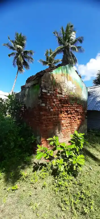 Arulmigu Pidari Amman Temple, Kallikudi - 611101 அருள்மிகு பிடாரியம்மன் திருக்கோயில், கள்ளிக்குடி - 611101, Thiruvarur - Ancient Temple Architecture and History Image 3