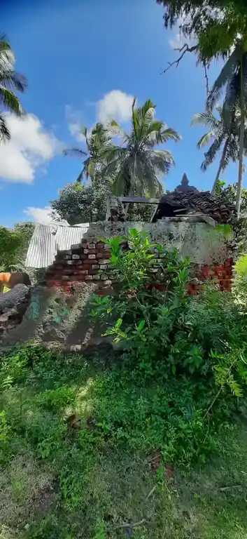 Arulmigu Pidari Amman Temple, Kallikudi - 611101 அருள்மிகு பிடாரியம்மன் திருக்கோயில், கள்ளிக்குடி - 611101, Thiruvarur - Ancient Temple Architecture and History Image 4
