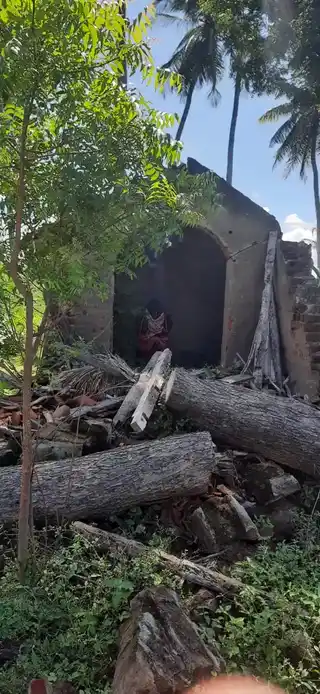 Arulmigu Pidari Amman Temple, Kallikudi - 611101 அருள்மிகு பிடாரியம்மன் திருக்கோயில், கள்ளிக்குடி - 611101, Thiruvarur - Ancient Temple Architecture and History Image 5