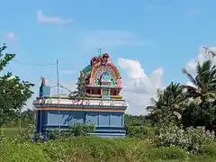 Arulmigu Pidari Amman Temple, Karambayam - 614626 Arulmigu Pidari Amman Temple, Karambayam - 614626, Thanjavur - Ancient Temple Architecture and History Image 3
