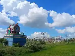 Arulmigu Pidari Amman Temple, Karambayam - 614626 Arulmigu Pidari Amman Temple, Karambayam - 614626, Thanjavur - Ancient Temple Architecture and History Image 4