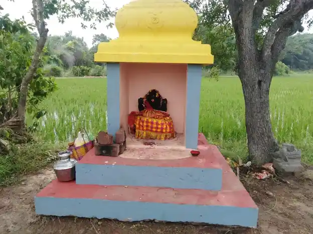 Arulmigu Pidari Amman Temple, Kozhaiyur - 609805 அருள்மிகு பிடாரி திருக்கோயில், Kozhaiyur - 609805, Mayiladuthurai - Ancient Temple Architecture and History Image 2