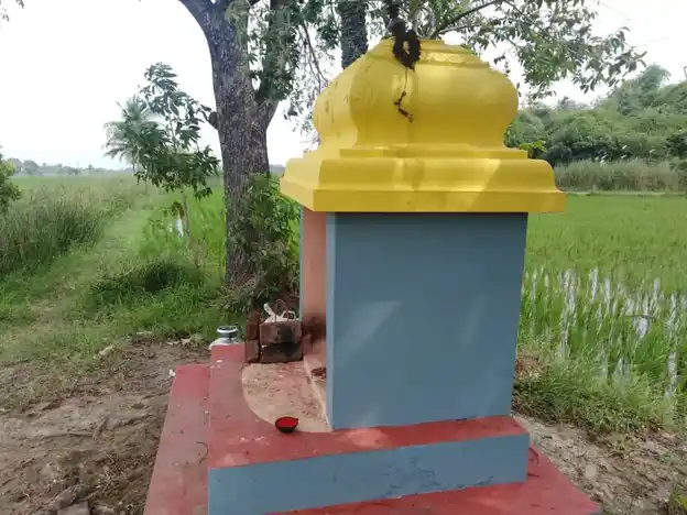 Arulmigu Pidari Amman Temple, Kozhaiyur - 609805 அருள்மிகு பிடாரி திருக்கோயில், Kozhaiyur - 609805, Mayiladuthurai - Ancient Temple Architecture and History Image 4